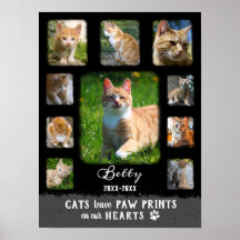 Colagem de Fotos Personalizada Cat Bordas Desbotad