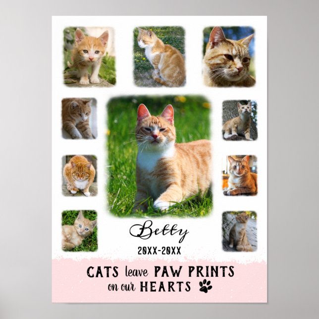 Poster Colagem de Fotos Personalizada Cat Bordas Desbotad (Frente)