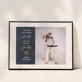 Poster Colagem de Fotos Personalizadas de Memória de Anim