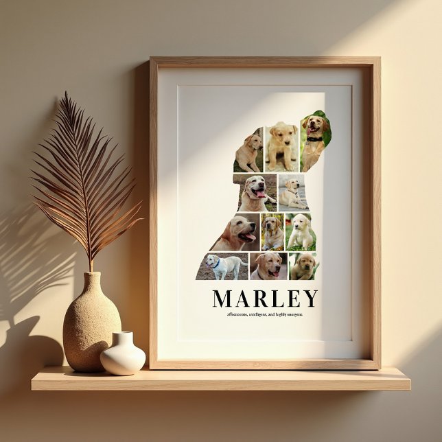Poster Colagem de Fotos Personalizadas do Labrador em Pos (Criador carregado)
