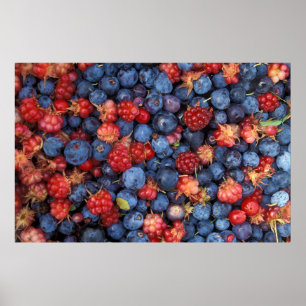 Póster Colagem de Framboesas de Berries Selvagens