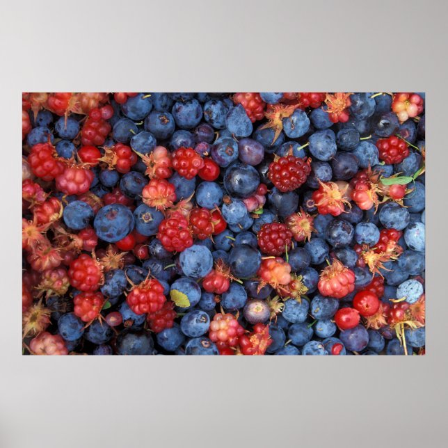 Póster Colagem de Framboesas de Berries Selvagens (Frente)