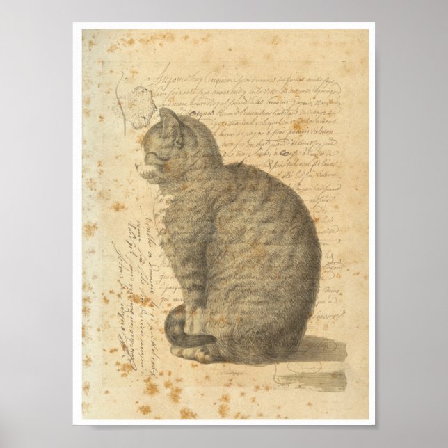 Poster Colagem de Gatos Vintage (Frente)