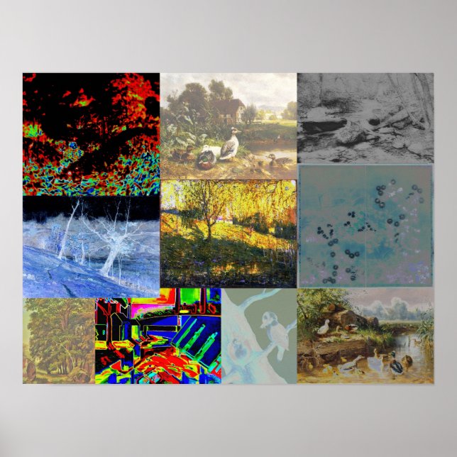 Poster Colagem de Natureza (Frente)