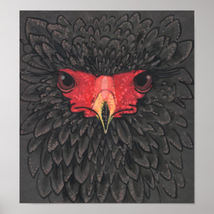 Poster Colagem de Papel Retrato de Aves da África Batele