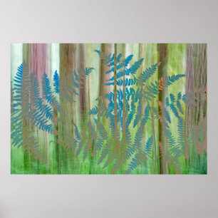 Póster Colagem de samambaia e floresta   Seabeck, WA