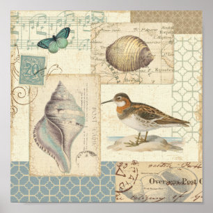 Póster Colagem de Seashell