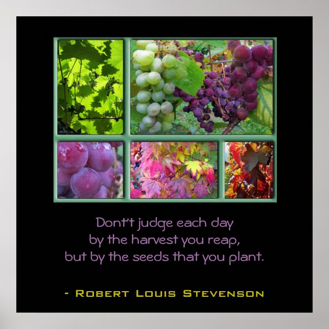 Poster Colagem de Uvas de outono com Cotação (Frente)