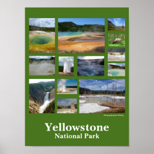 Póster Colagem de Yellowstone (retrato)