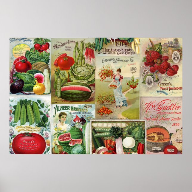 Póster Colagem do Catálogo de Sementes de frutas e Veggie (Frente)