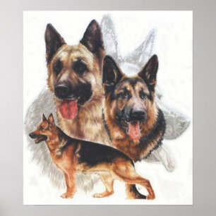 Poster Colagem do "fantasma" do german shepherd