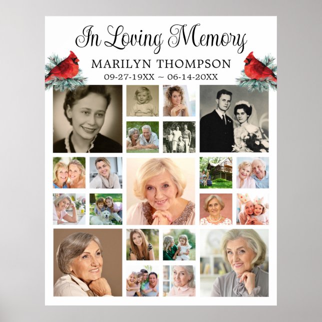 Poster Colagem Fotográfica do Cardeal Memorial Pine 21 (Frente)