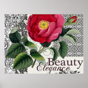 Póster Colagem moderna do wallpaper do rosa Vintage Damas