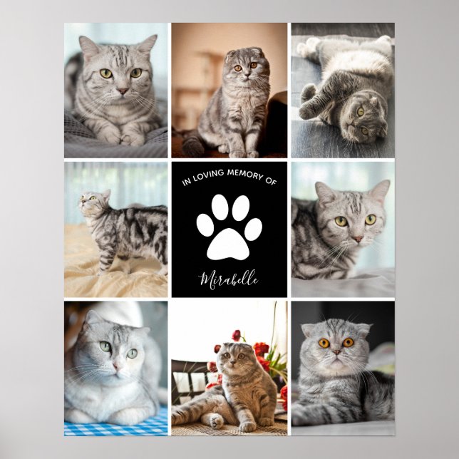 Poster Colagem Personalizada De Pet Do Cat Memorial Na Me (Frente)