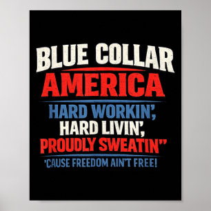 Poster Colar Azul América Bisonrel Voador Patriótico 4º