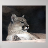 Colar Montanha Lion Retrato Fechado