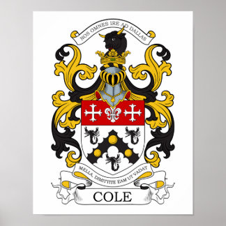 Poster Cole Personalizado 1