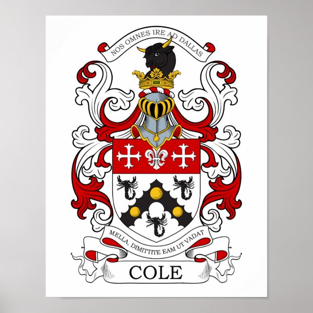 Poster Cole Personalizado 2 (Frente)