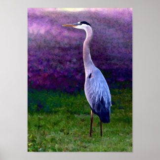 Poster Coleção Blue Heron