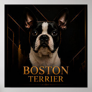 Poster Coleção Clássica Americana Boston Terrier
