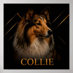 Poster Coleção Collie Heritage Shepherd