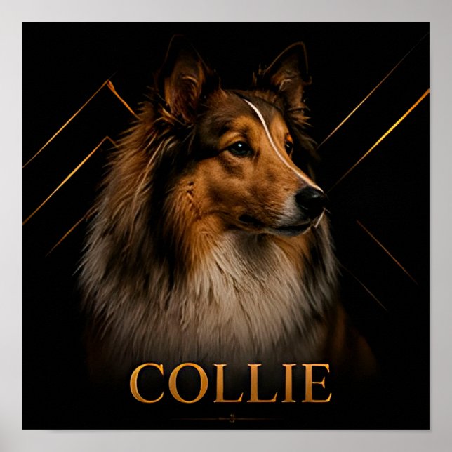 Poster Coleção Collie Heritage Shepherd (Frente)