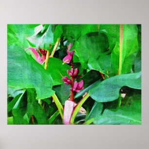 Póster Coleção cor-de-rosa tropical da banana de veludo