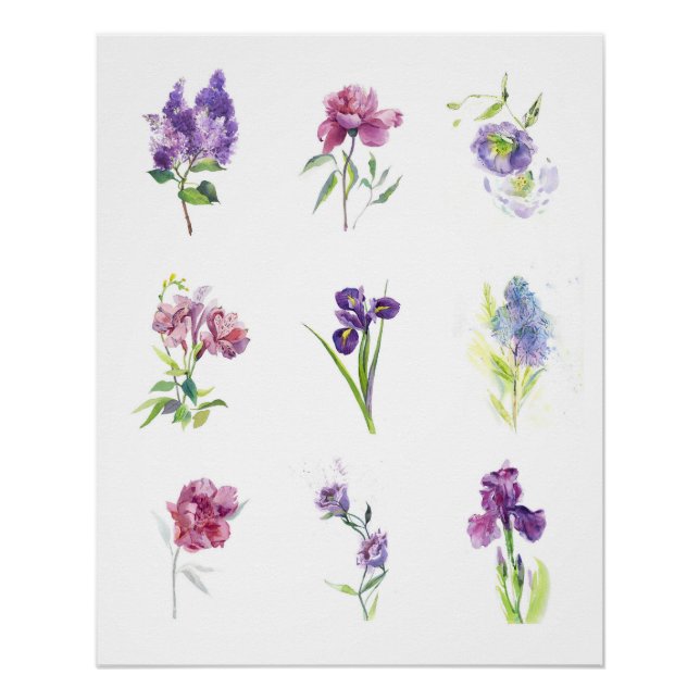 Póster Coleção de Aquarela Botânica Flores da Primavera (Frente)