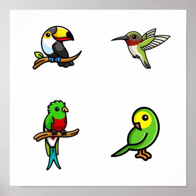 Poster Coleção de aves (Frente)