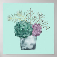 Coleção de Felicidade de Plantas | Suculentes
