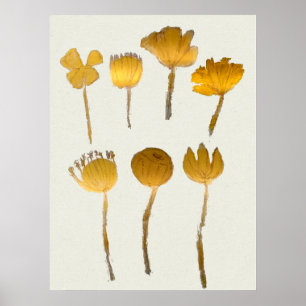 Poster Coleção de Flores Secas Abstratas