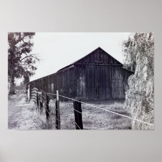 Poster Coleção de Países - Somente em Pé