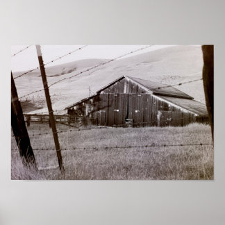 Poster Coleção de Países - Uma nova Exibição