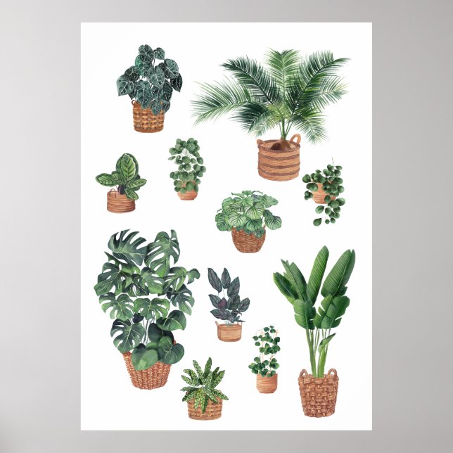 Poster Coleção de Plantas da Casa 4 (Frente)