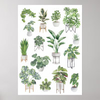 Coleção de Plantas Potentes 5