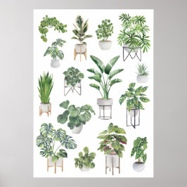 Poster Coleção de Plantas Potentes 5
