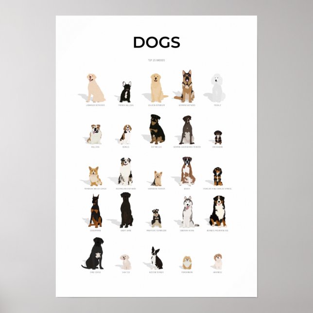 Poster Coleção de Raças de Cães (Frente)