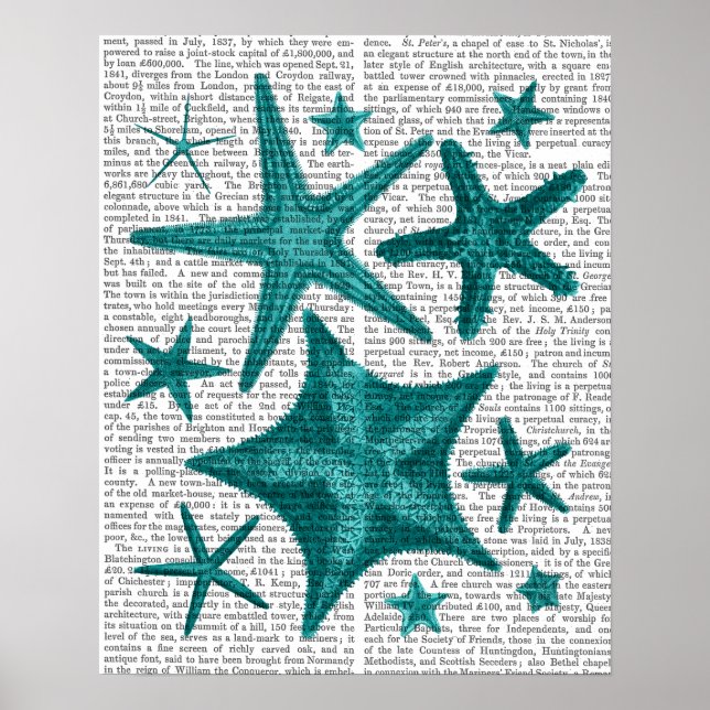 Póster Coleção de Starfish Verde (Frente)