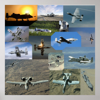 Póster Coleção de Warthog