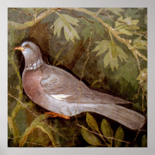 PÓSTER COLEÇÃO POMPEII / POMBA NO JARDIM