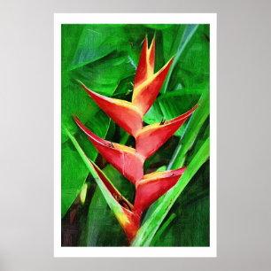 Póster Coleção tropical da pintura a óleo do heliconia