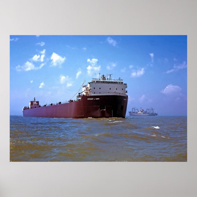 Poster Coletor De 1000 Pés (Frente)