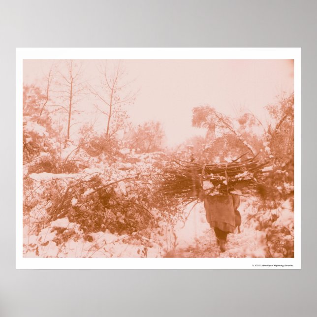 Póster Coletor de Madeira (Frente)