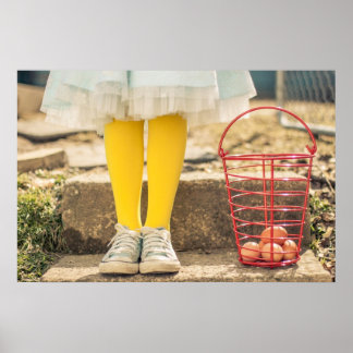 Poster Coletor de Ovos