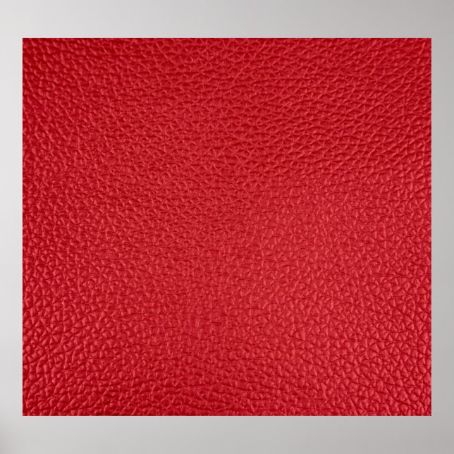 Poster Coletor de tartaruga artificial vermelho-escuro. (Frente)