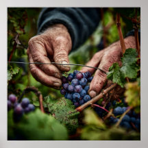 Colheita Alemã - Fechamento das Mãos de Captura de