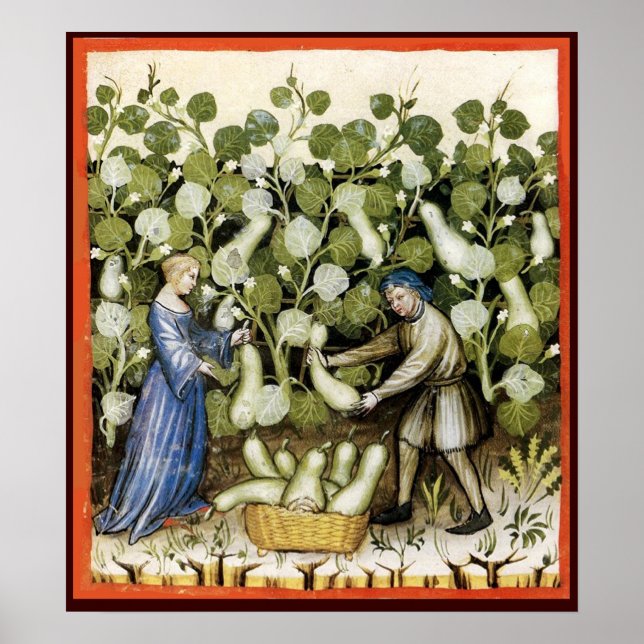 POSTER COLHEITA ANTIQUICA ESQUASH (Frente)