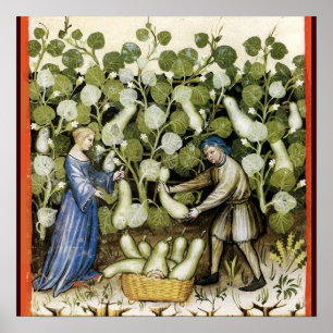 POSTER COLHEITA ANTIQUICA ESQUASH