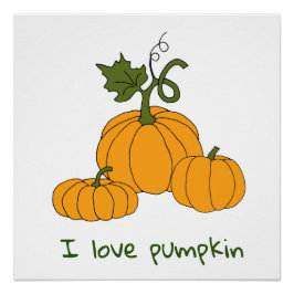 Póster Colheita de abóbora-de-laranja-branca