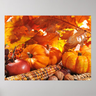 Poster Colheita de Ação de Graças de Queda - Pumpkins, Mi
